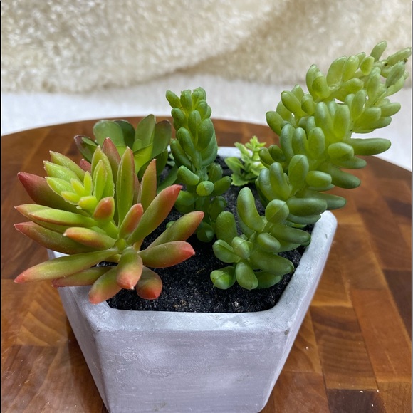 Faux succulents, 3-4 in 2”H hexagon shaped pots (2 available for purchase) - Picture 4 of 14